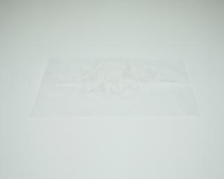 Tissue 2